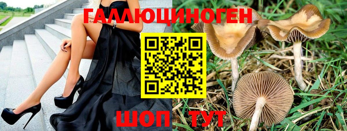 Псилоцибиновые грибы Cubensis Алушта
